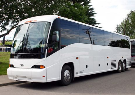 xcity Charter Buses